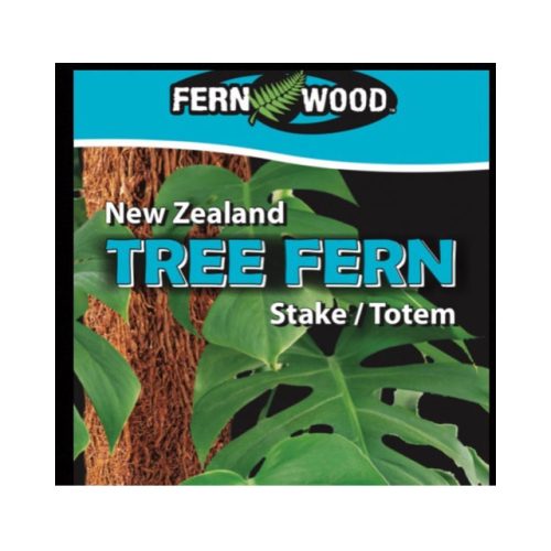 NZ-Tree-Fern-2