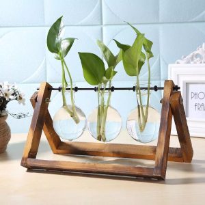 glass-and-wood-vase-planter-hydroponics