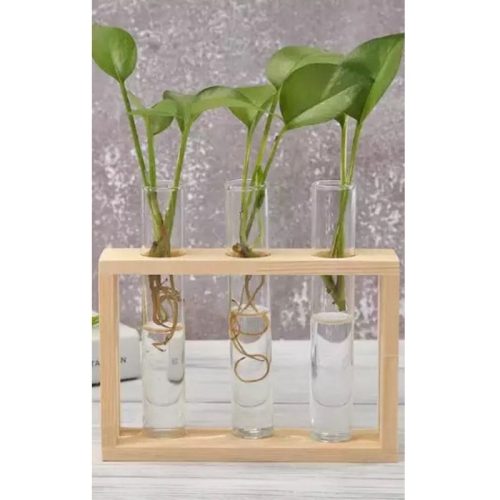 Hydroponic plant propagation kit