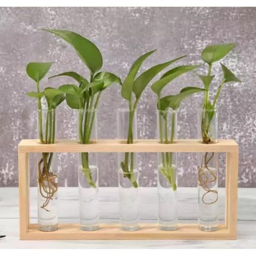 Hydroponic plant propagation kit